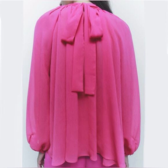 Zara Blogger's Favorite High Neck Sheer Pleated Balloon Sleeve Back Tie Blouse S - Picture 6 of 11